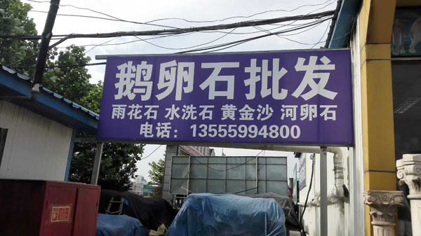 264049440866932584